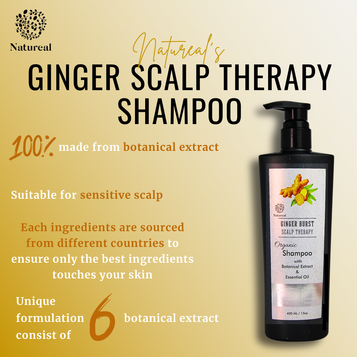 Natureal Organic Ginger Scalp Therapy Shampoo | 400ml - Natureal