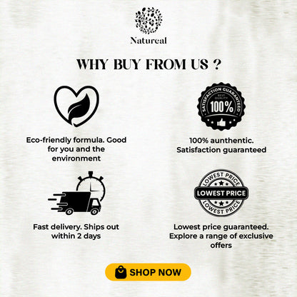 Natureal Organic Foam Hand Wash 4-Bottle Raya Combo (Limited Time Promo) - Natureal