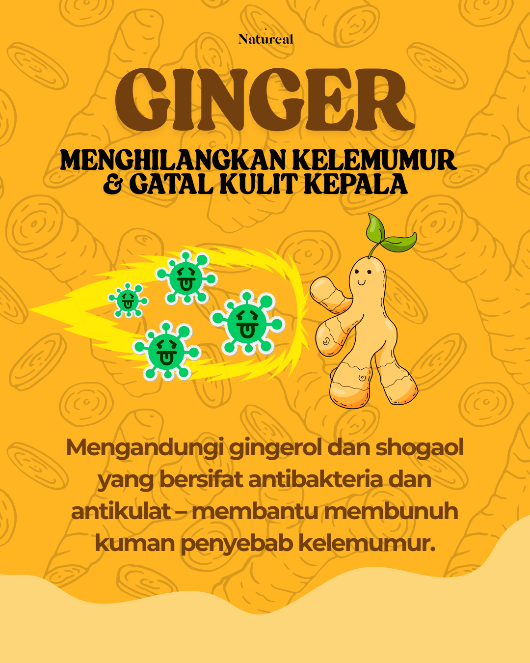 Ginger Scalp Therapy Shampoo